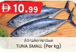 KM Trading Tuna small offer