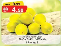 KM Trading Lemon small vietnam offer