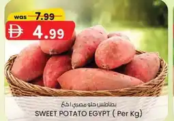 KM Trading Sweet potato egypt offer