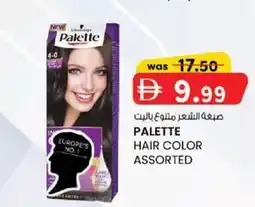 KM Trading Palette hair color assorted offer