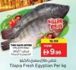 Nesto Tilapia Fresh Egyptian offer