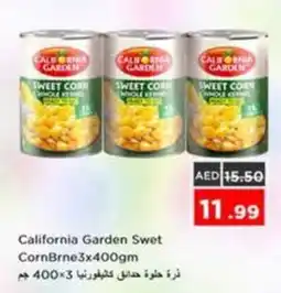 Nesto California Garden Swet CornBrne offer