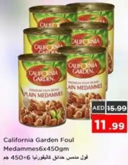 Nesto California Garden Foul Medammes offer