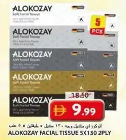 Grand Hyper Market Alokozay facial tissue 5x130 2ply offer