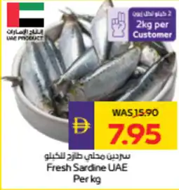 Abu Dhabi Coop Fresh Sardine UAE offer