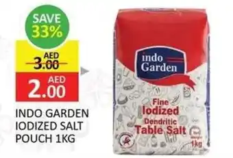 Indo garden iodized salt pouch