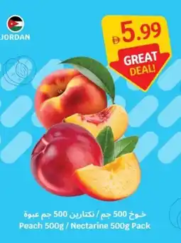 SAVA Peach / Nectarine Pack offer