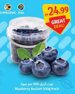 SAVA Blueberry Bucket Pack offer