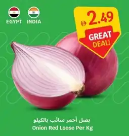 SAVA Onion Red Loose offer