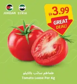 SAVA Tomato Loose offer