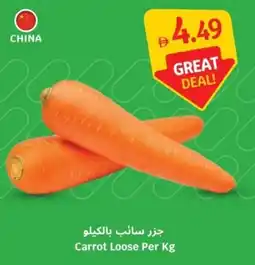 SAVA Carrot Loose offer