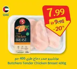 SAVA Butchero Tender Chicken Breast offer