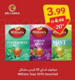 SAVA Miltons Teas 20Tb offer