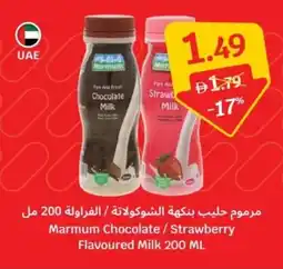 SAVA Marmum Chocolate / Strawberry Flavoured Milk offer