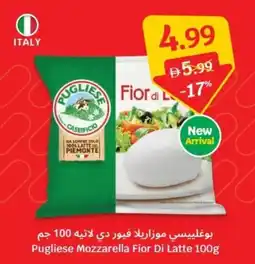 SAVA Pugliese Mozzarella Fior Di Latte offer