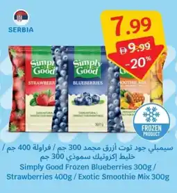 SAVA Simply Good Frozen Blueberries / Strawberries / Exotic Smoothie Mix offer