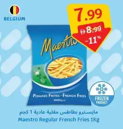 SAVA Maestro Regular French Fries offer