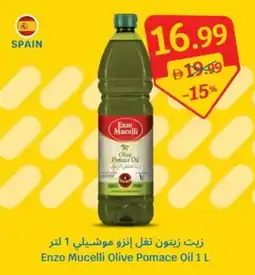 SAVA Enzo Mucelli Olive Pomace Oil offer