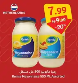 SAVA Remia Mayonnaise offer