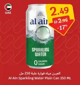 SAVA Al Ain Sparkling Water Plain Can offer