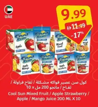 Cool Sun Mixed Fruit/Apple Strawberry/ Apple / Mango Juice