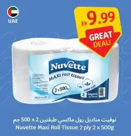 SAVA Nuvette Maxi Roll Tissue offer