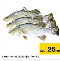Nesto Barramundi (Kalanji) offer