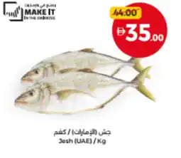 Union Coop Jesh (UAE) offer