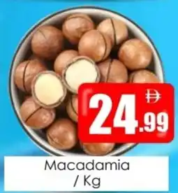 Amber Macadamia offer