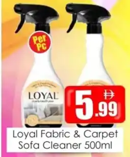 Amber Loyal Fabric & Carpet Sofa Cleaner offer