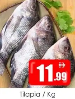 Amber Tilapia offer