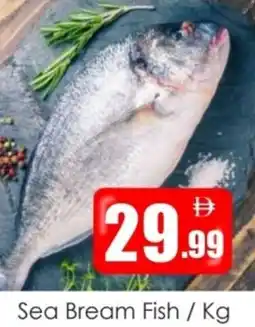 Amber Sea Bream Fish offer