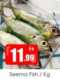 Amber Seema Fish offer