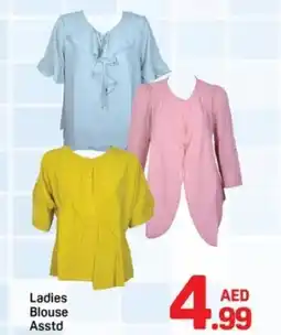 Day To Day Ladies Blouse offer