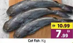 Al Madina Hypermarket Cat Fish offer