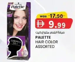KM Trading Palette Hair Color Assorted offer