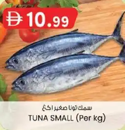KM Trading Tuna small offer