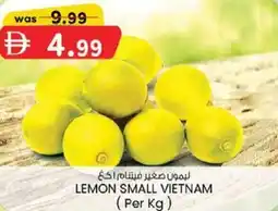 KM Trading Lemon small vietnam offer
