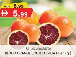 KM Trading Blood orange south africa offer