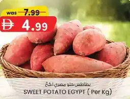 KM Trading Sweet potato egypt offer