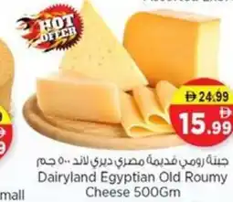 Nesto Dairyland Egyptian Old Roumy Cheese offer