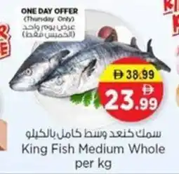 Nesto King Fish Medium Whole offer
