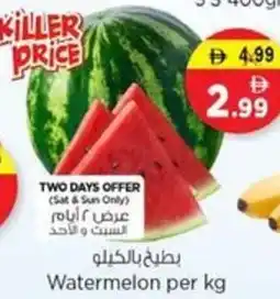 Nesto Watermelon offer