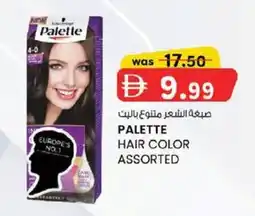 KM Trading Palette hair color offer