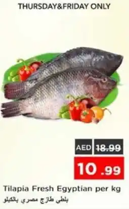 Nesto Tilapia Fresh Egyptian offer