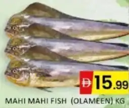 Al Madina Hypermarket Mahi mahi fish (olameen) offer