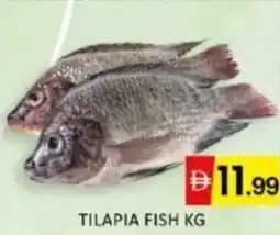 Al Madina Hypermarket Tilapia fish offer
