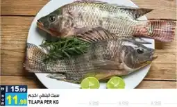 Hashim Hypermarket Tilapia offer