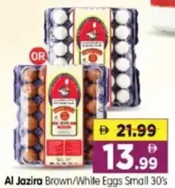 Al Madina Hypermarket Al Jazira Brown/White Eggs Small 30's offer