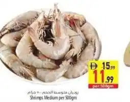 Safeer Market Shrimps Medium per offer
